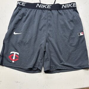 Nike Men's Dark Gray Athletic Shorts